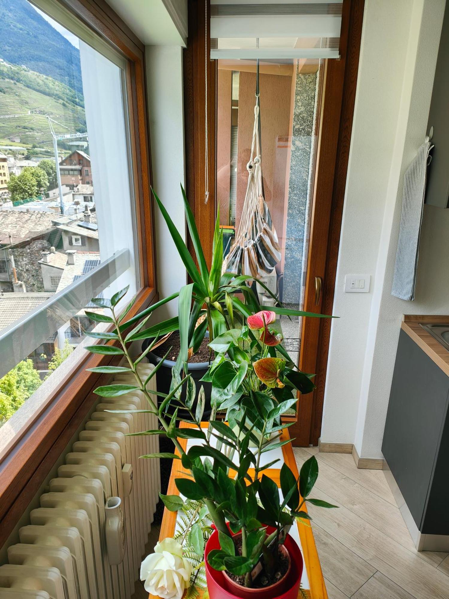 Apartmán Alfiume B Tirano Exteriér fotografie