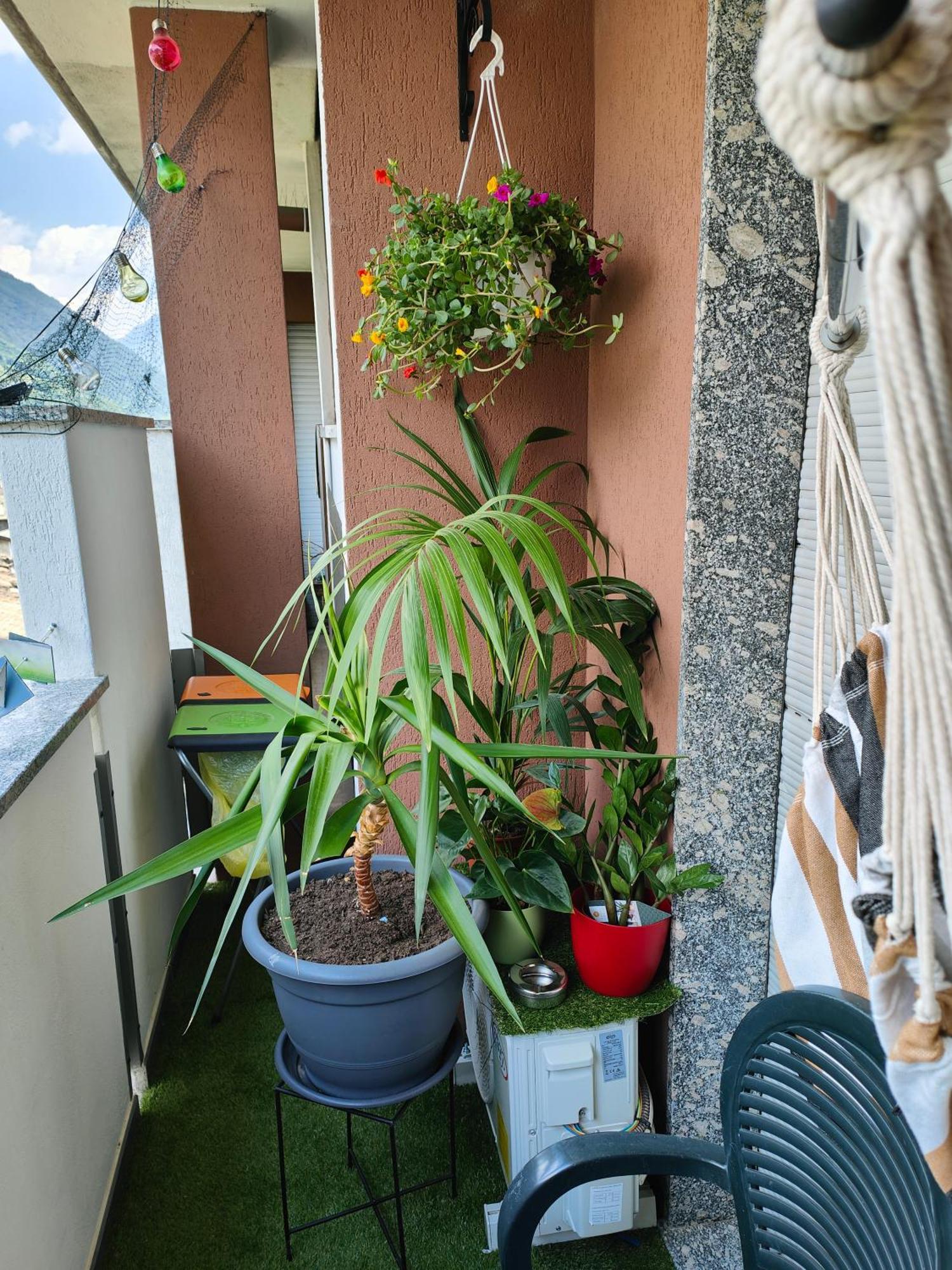 Apartmán Alfiume B Tirano Exteriér fotografie